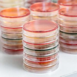 AC Agar